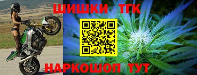прущие грибы Моздок